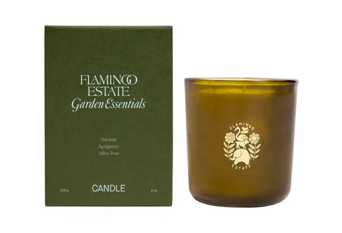 Ancient Agrigento Olive Tree Candle