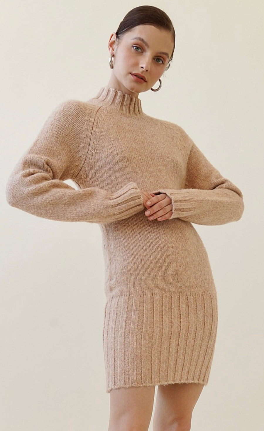 Model is wearing a beige turtle neck sweater dress